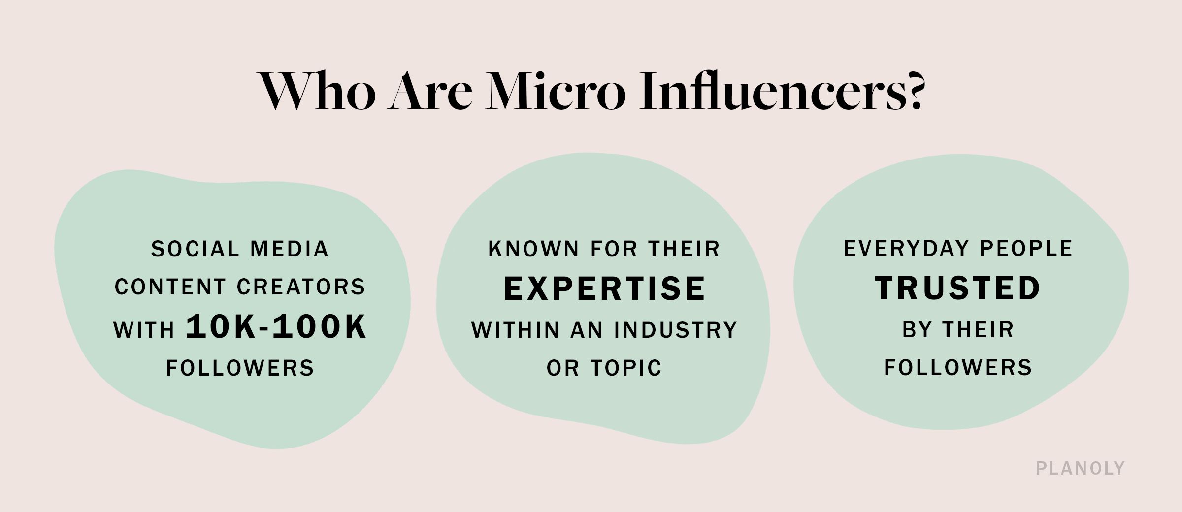 PLANOLY - Blog - Who Are Micro Influencers - Image 1