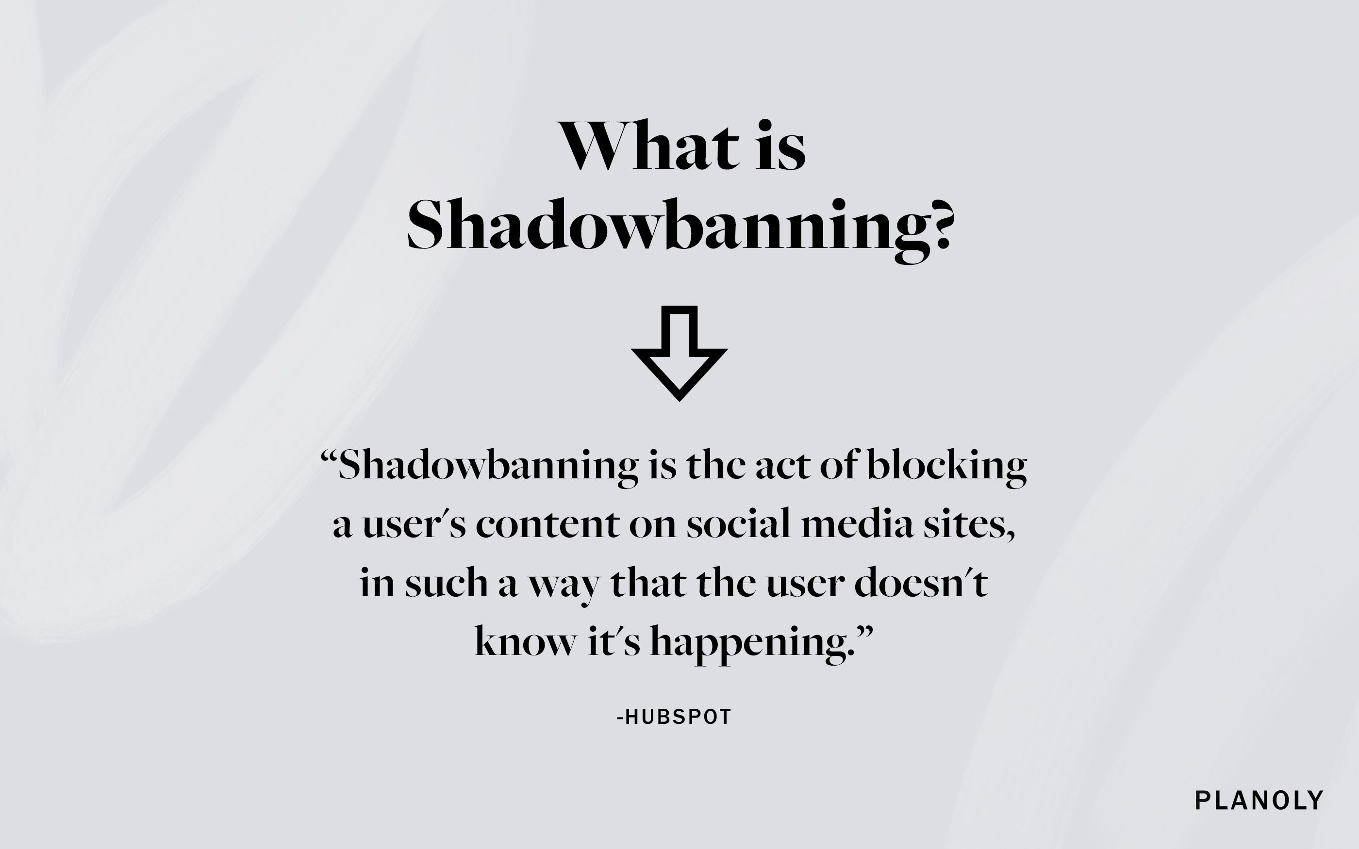 PLANOLY - Blog Post - What is Shadowbanning - Image 1